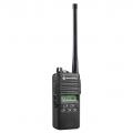   Motorola P-165