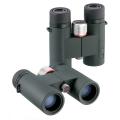  Kowa BD 8x32 XD Prominar