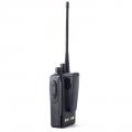   Motorola VX-264-G6-5