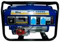  (220 )  Werk WPG 3000E